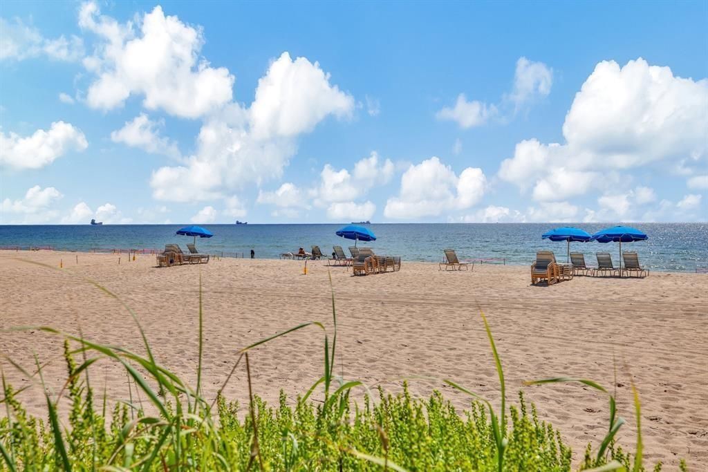 2520 Laguna Terrace, Fort Lauderdale, FL 33316 Photo