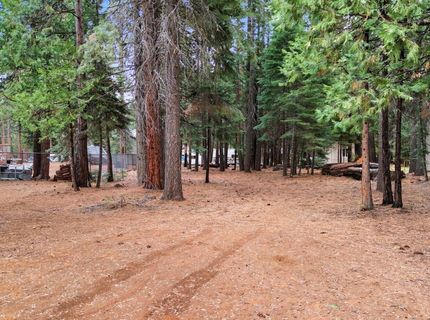 303 Raccoon Trail, Lot #4, Lake Almanor, CA 00000 Photo