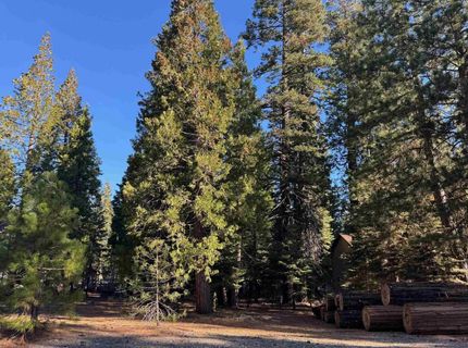 303 Raccoon Trail, Lot #4, Lake Almanor, CA 00000 Photo