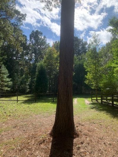 130 Montana Lane Photo 10