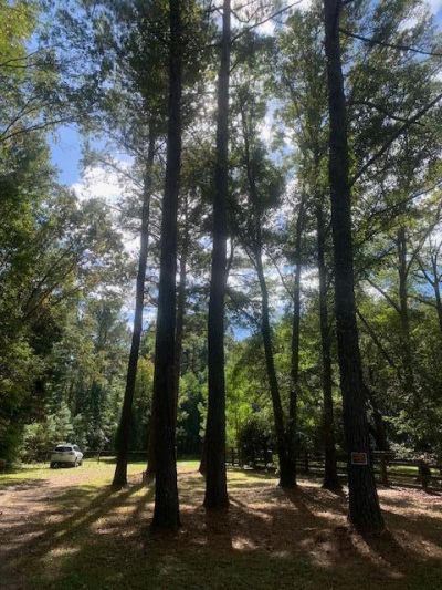 130 Montana Lane Photo 11