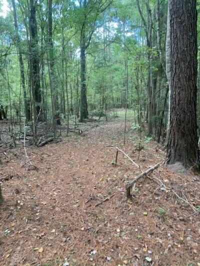 130 Montana Lane Photo 20