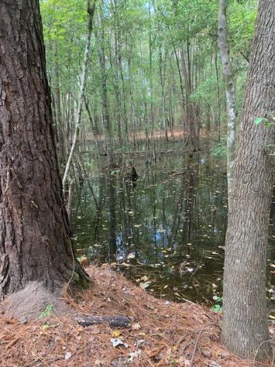 130 Montana Lane Photo 21