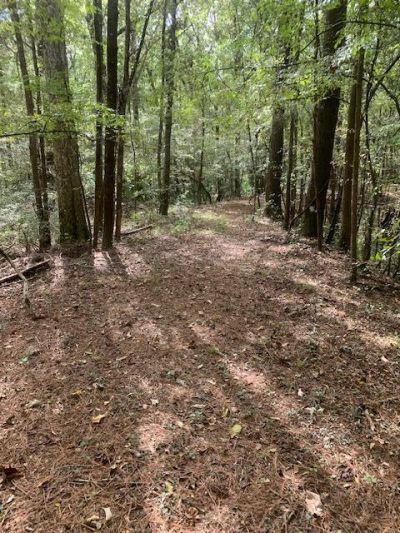 130 Montana Lane Photo 22