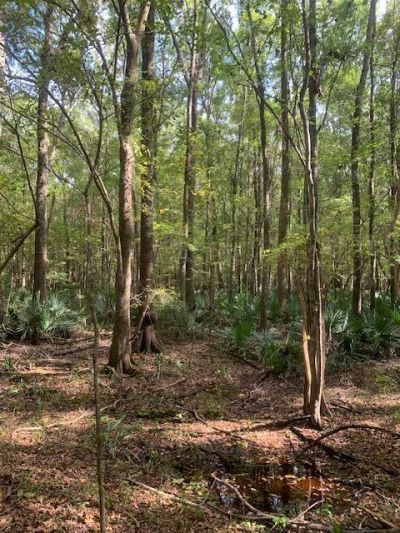 130 Montana Lane Photo 23