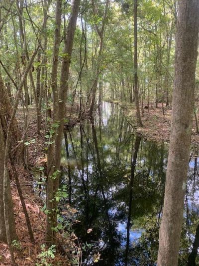 130 Montana Lane Photo 24