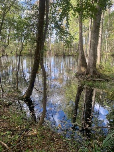 130 Montana Lane Photo 25