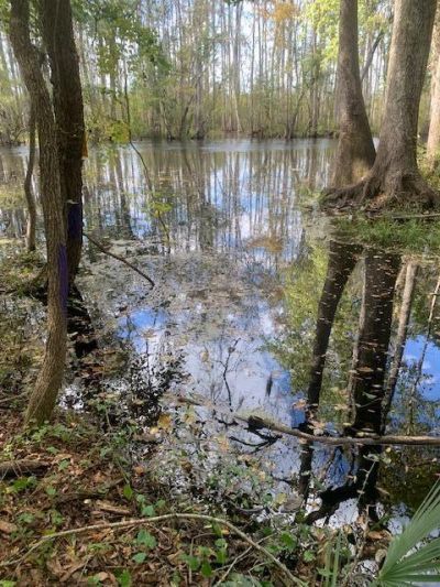 130 Montana Lane Photo 28