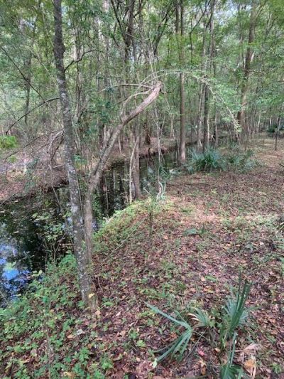 130 Montana Lane Photo 29