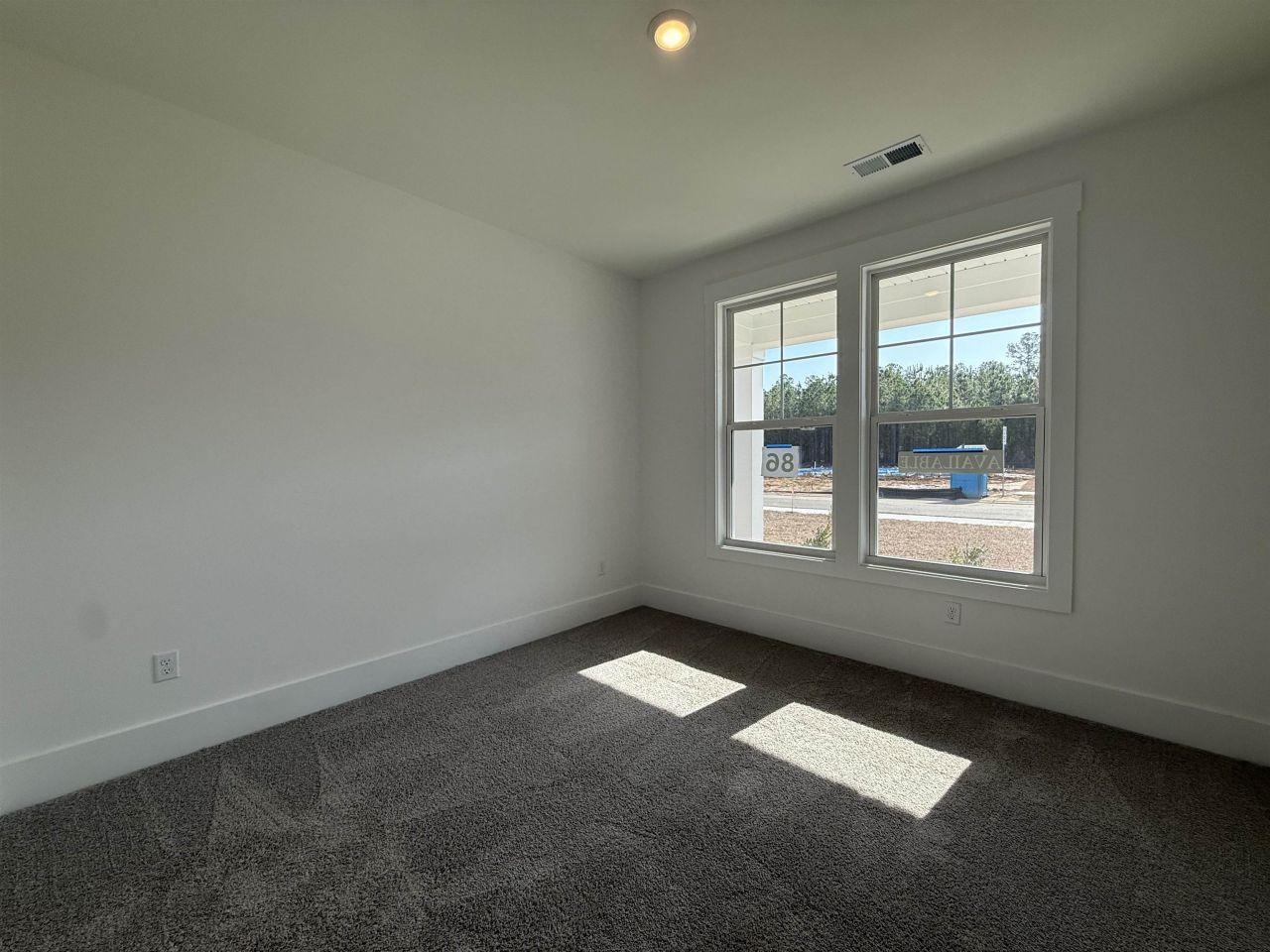 4209 Collins Farm Way Photo 21