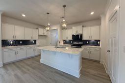 4209 Collins Farm Way photo 4