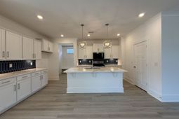 4209 Collins Farm Way photo 4