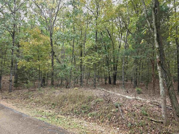 Lot 182 Tannenbaum Road, Drasco, AR 72530