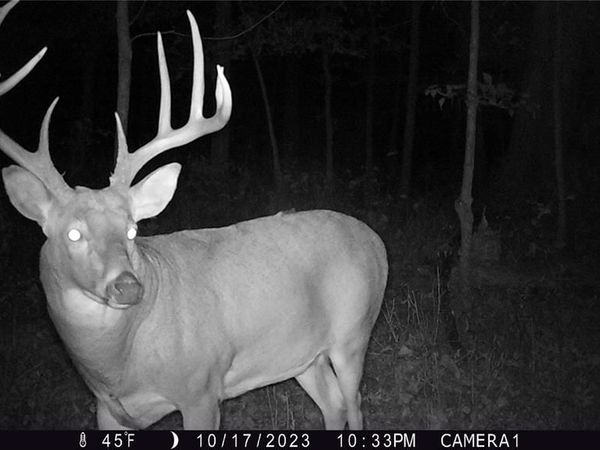 00 Union Grove Avenue, Greenville, IL 62246