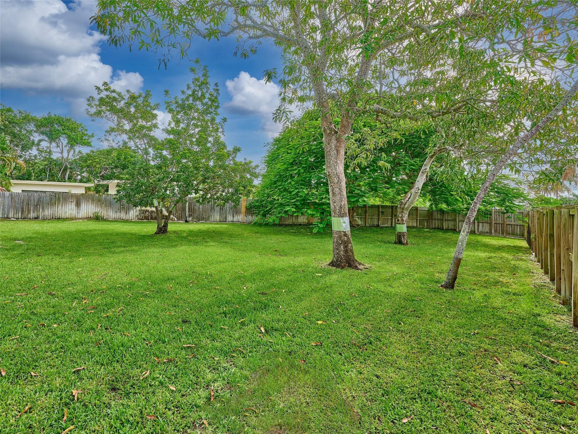 801 NE 15th Street, Fort Lauderdale, FL 33304 Photo