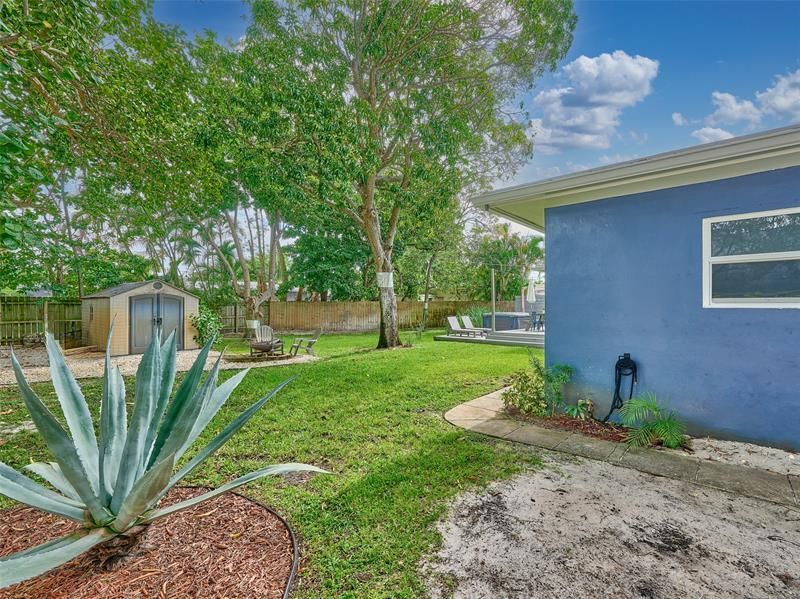 801 NE 15th Street, Fort Lauderdale, FL 33304 Photo