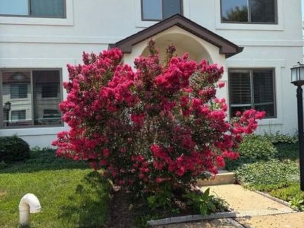 54 H QUEEN CAROLINE COURT, CHESTER, MD 21619