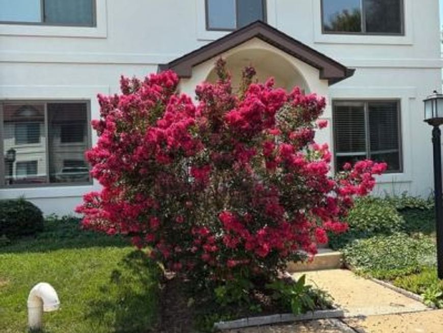 54 H Queen Caroline Court, Chester, MD 21619 Main Photo