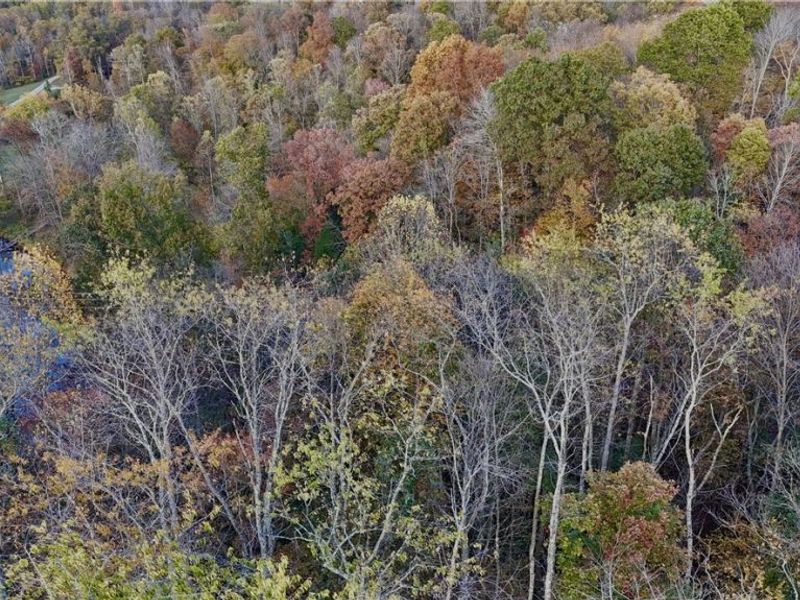 966 State Route 555, Little Hocking, OH 45742 Photo 6