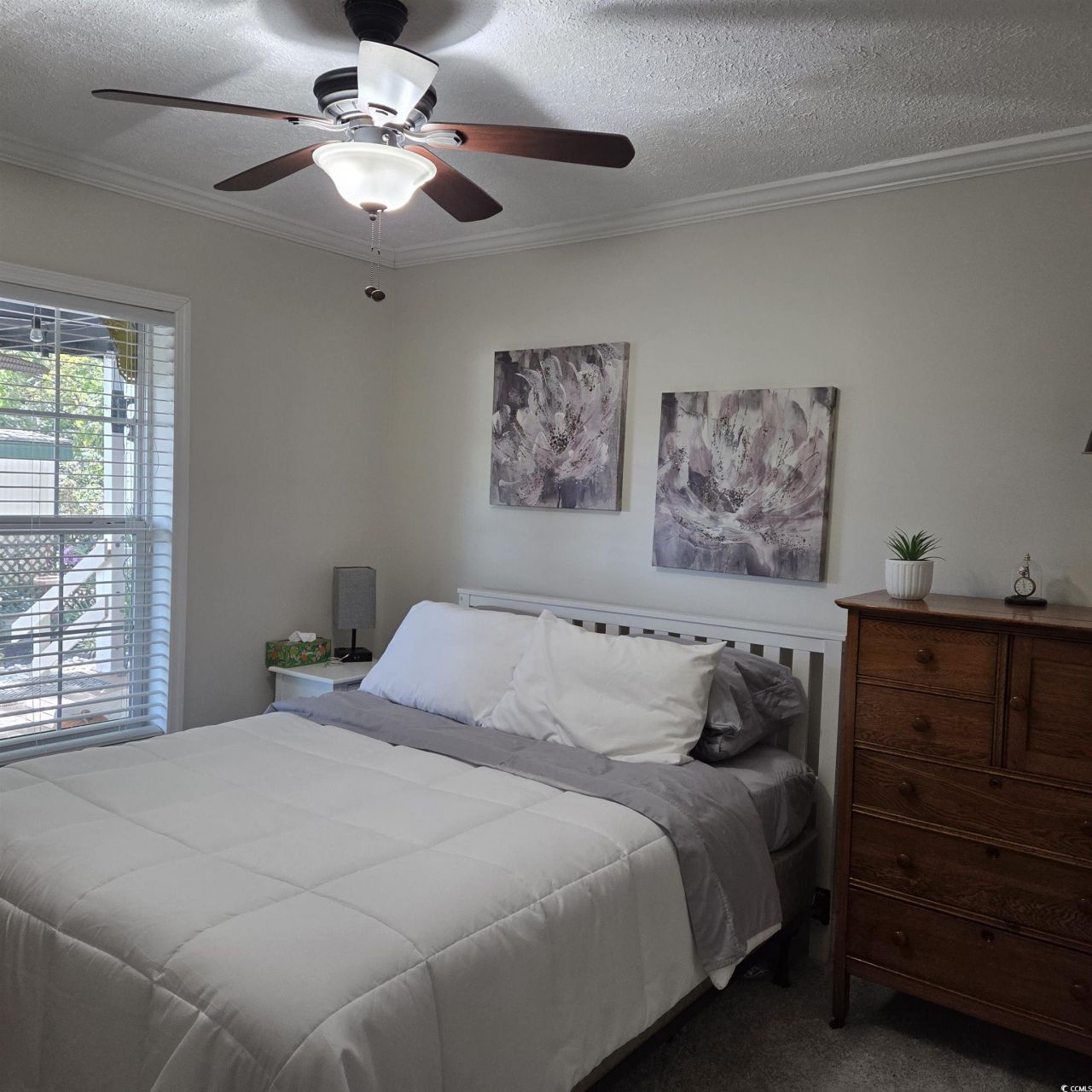 61 Saxon Ct. Photo 27