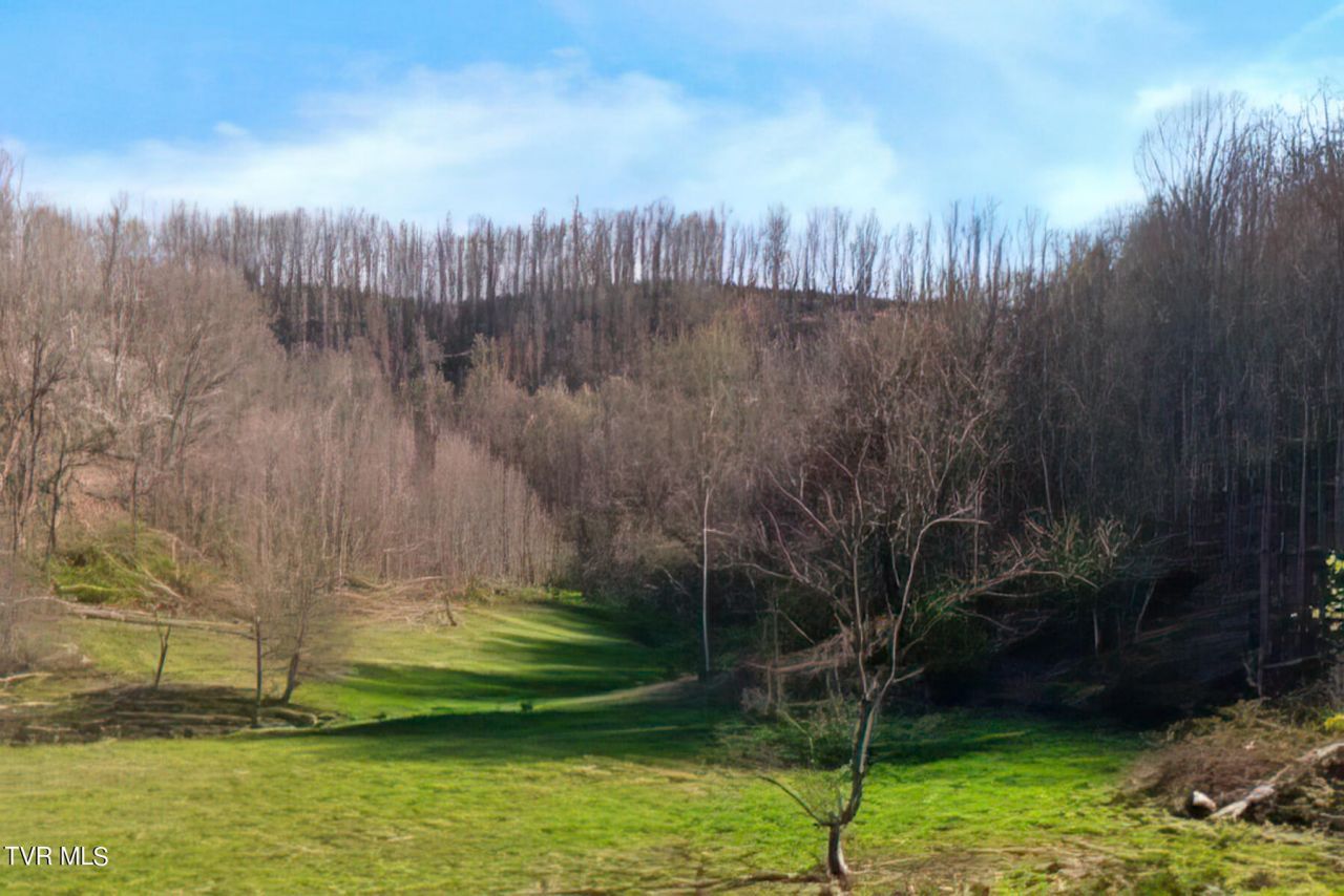 Tbd Miller Lane, Trade, TN 37691 Main Photo