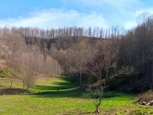 Tbd Miller Lane, Trade, TN 37691