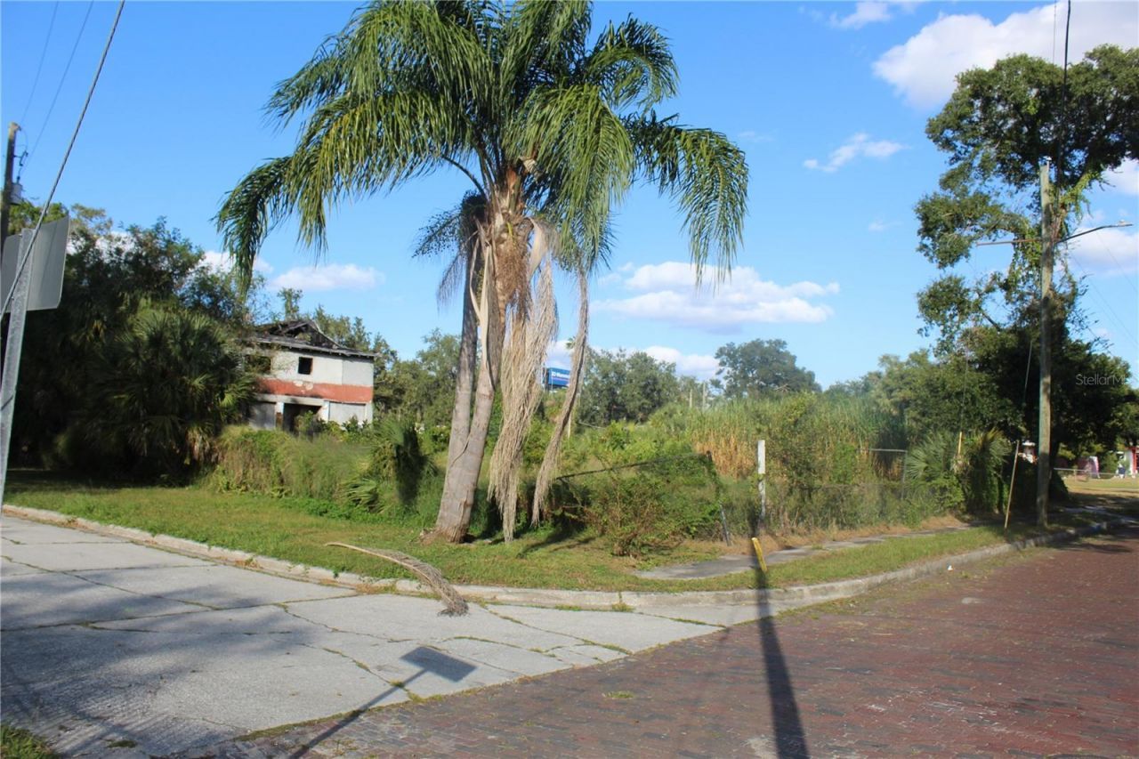 414 - 418 E Emily Street, Tampa, FL 33603 Photo