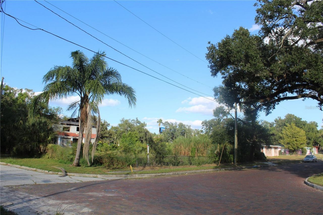 414 - 418 E Emily Street, Tampa, FL 33603 Photo