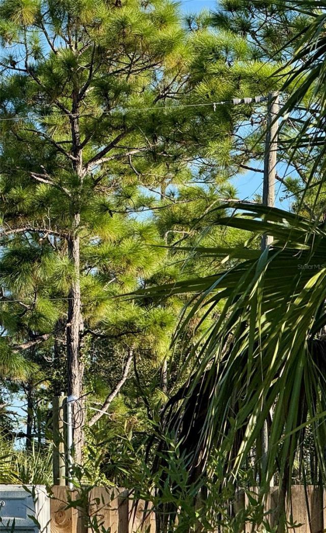 26350 Eager Road, Punta Gorda, FL 33955 Photo