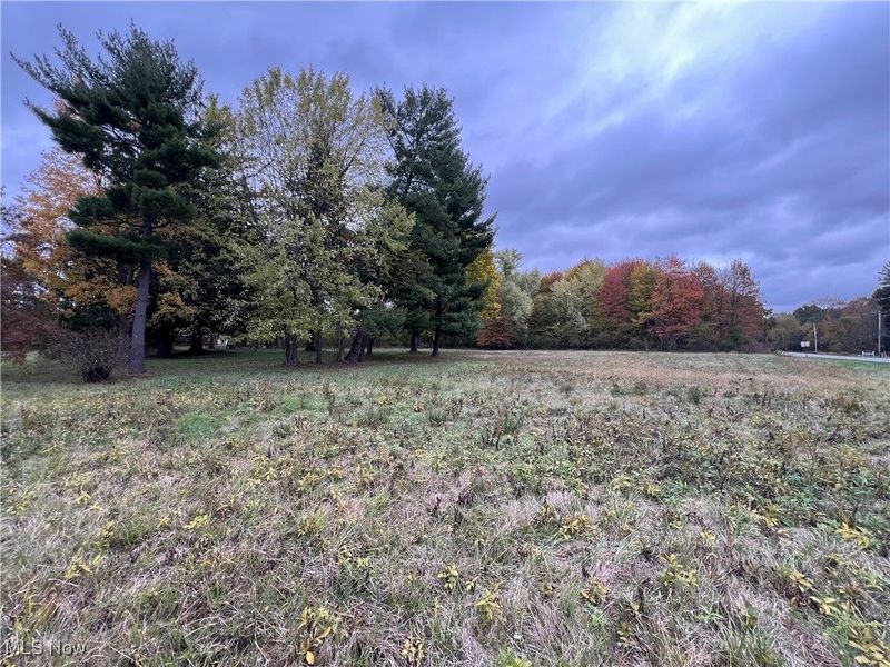 5269 S Raccoon Road, Canfield, OH 44406 Photo 10