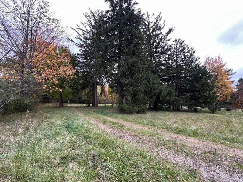 5269 S Raccoon Road, Canfield, OH 44406 Photo 3