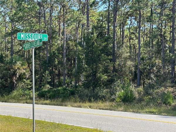 4025 S MISSOURI DRIVE, HOMOSASSA, FL 34448