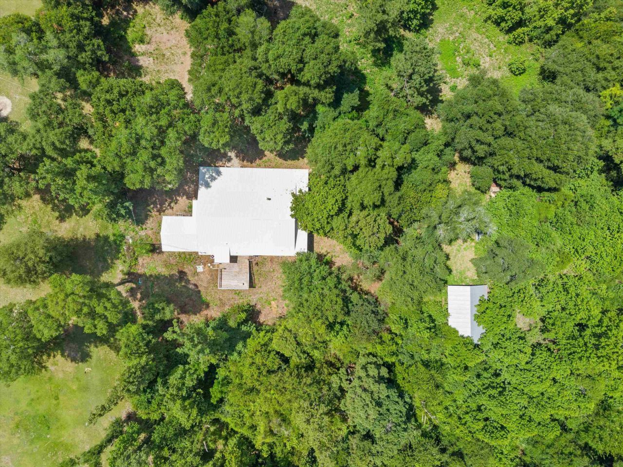 5688 Highway 90, Marianna, FL 32446 Photo