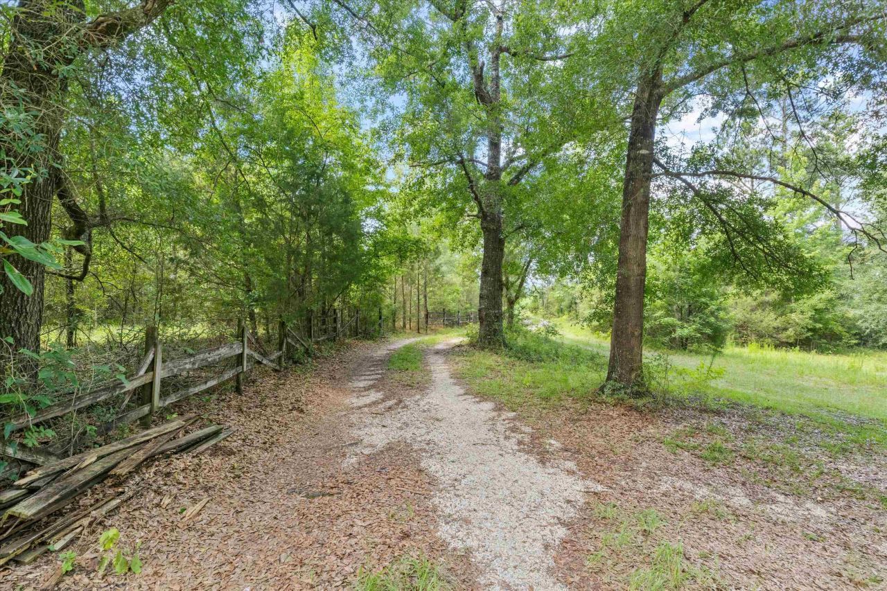 5688 Highway 90, Marianna, FL 32446 Photo