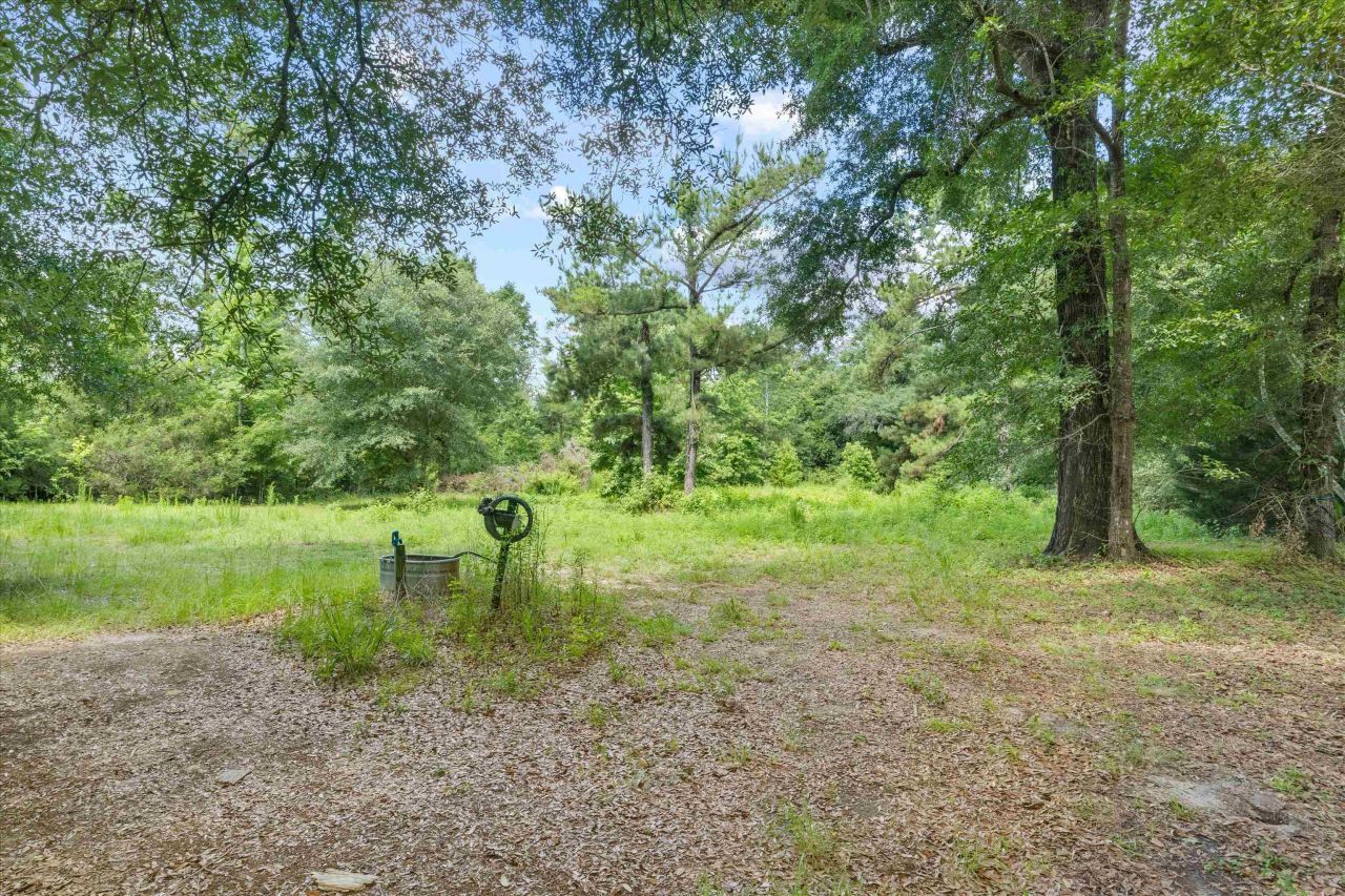 5688 Highway 90, Marianna, FL 32446 Photo