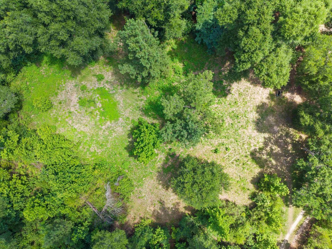 5688 Highway 90, Marianna, FL 32446 Photo