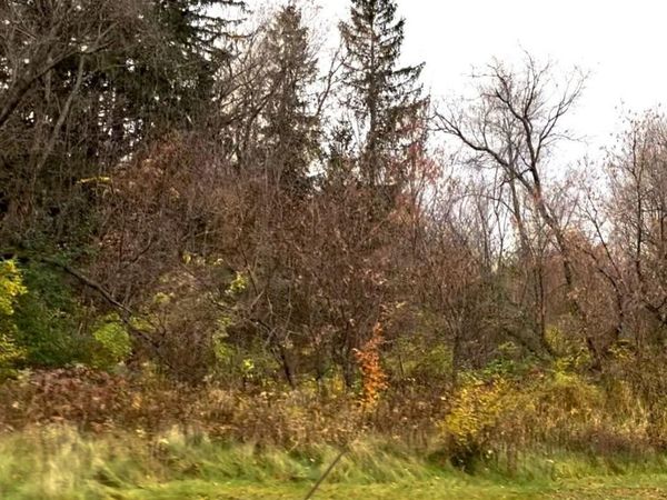 LOT 24 Wilderness Hills Lane, Luck, WI 54853