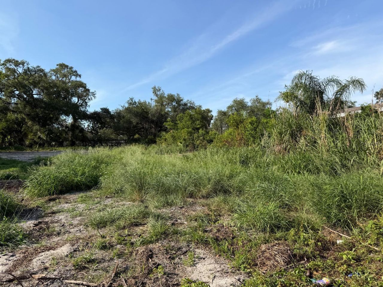 414 E Emily Street, Tampa, FL 33603 Photo