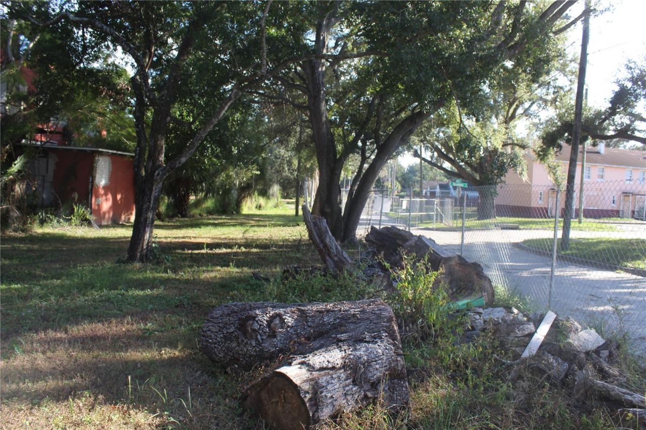 414 E Emily & 167408-0000 Street, Tampa, FL 33603 Photo