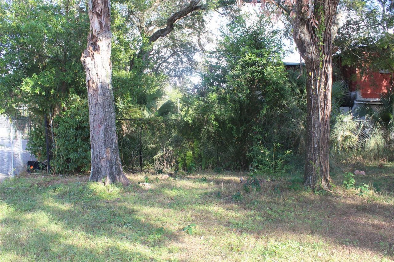 414 E Emily & 167408-0000 Street, Tampa, FL 33603 Photo