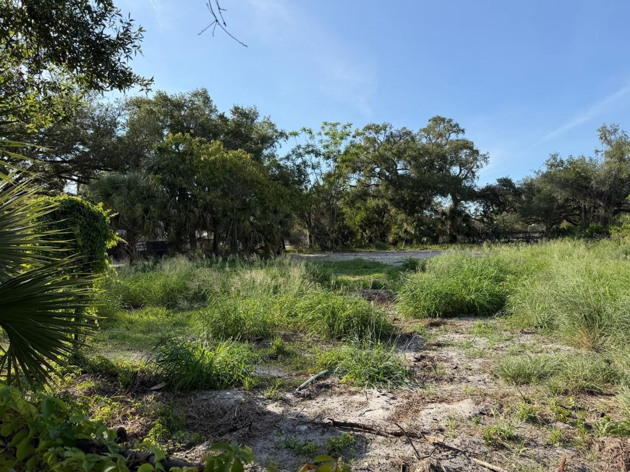 414 E Emily Street, Tampa, FL 33603 Photo