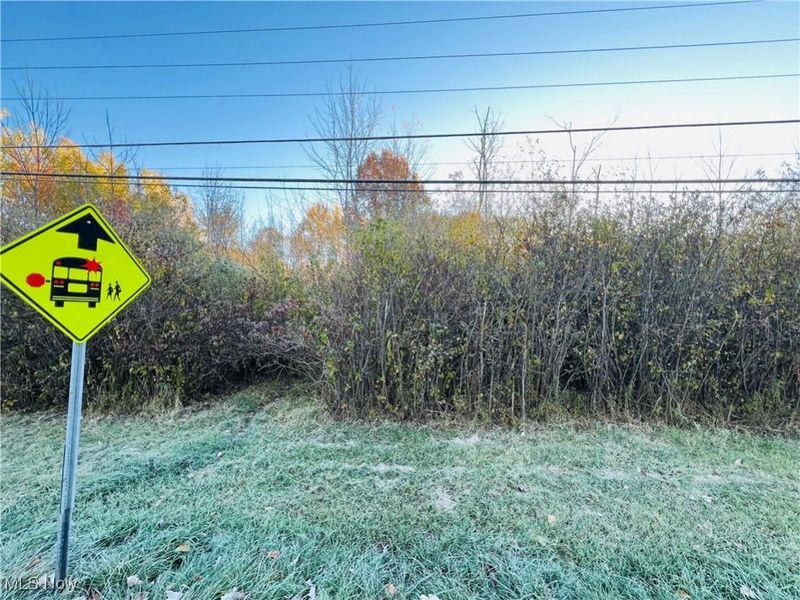 371 Rome Rock Creek Road, Roaming Shores, OH 44084 Photo 2