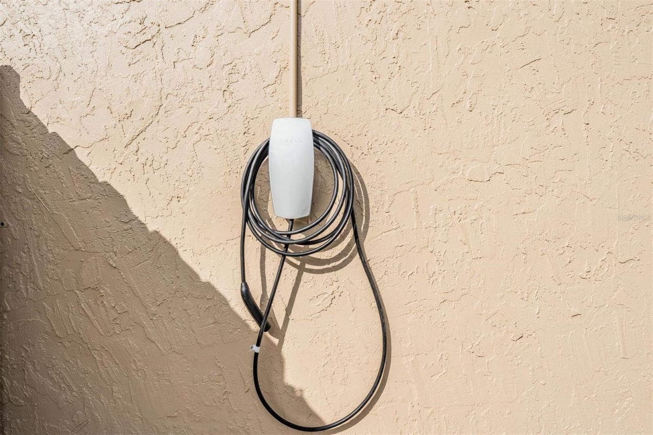 1565 Connecticut Avenue Ne, Saint Petersburg, FL 33703 Photo