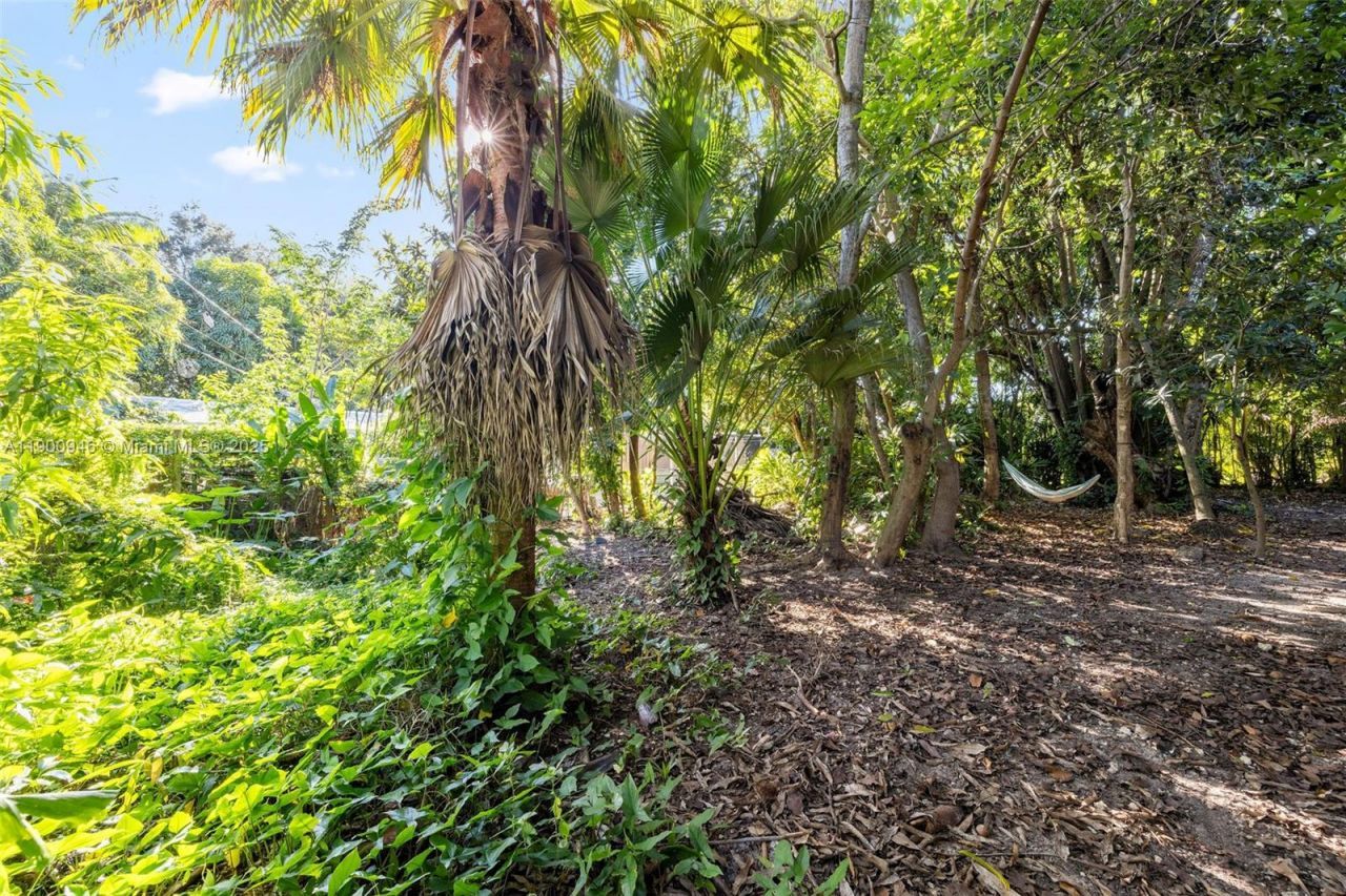 15290 SW 82nd Ave, Palmetto Bay, FL 33157 Photo