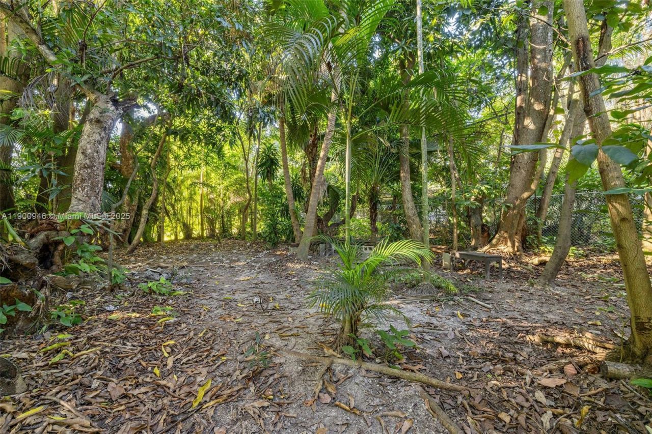 15290 SW 82nd Ave, Palmetto Bay, FL 33157 Photo