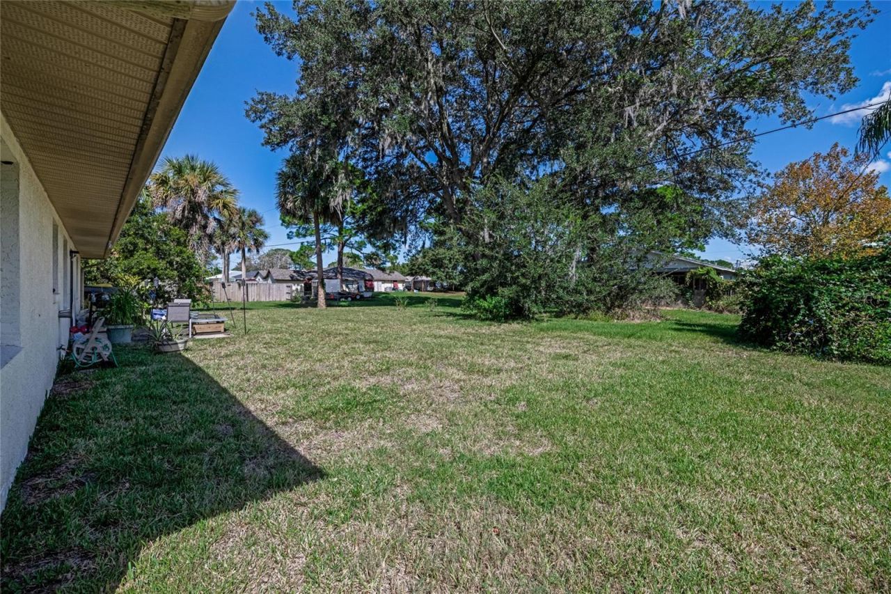 3303 Yule Tree Drive, Edgewater, FL 32141 Photo