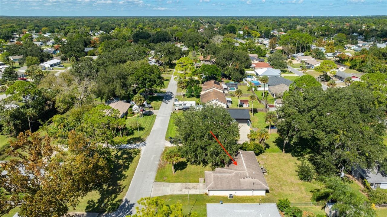 3303 Yule Tree Drive, Edgewater, FL 32141 Photo