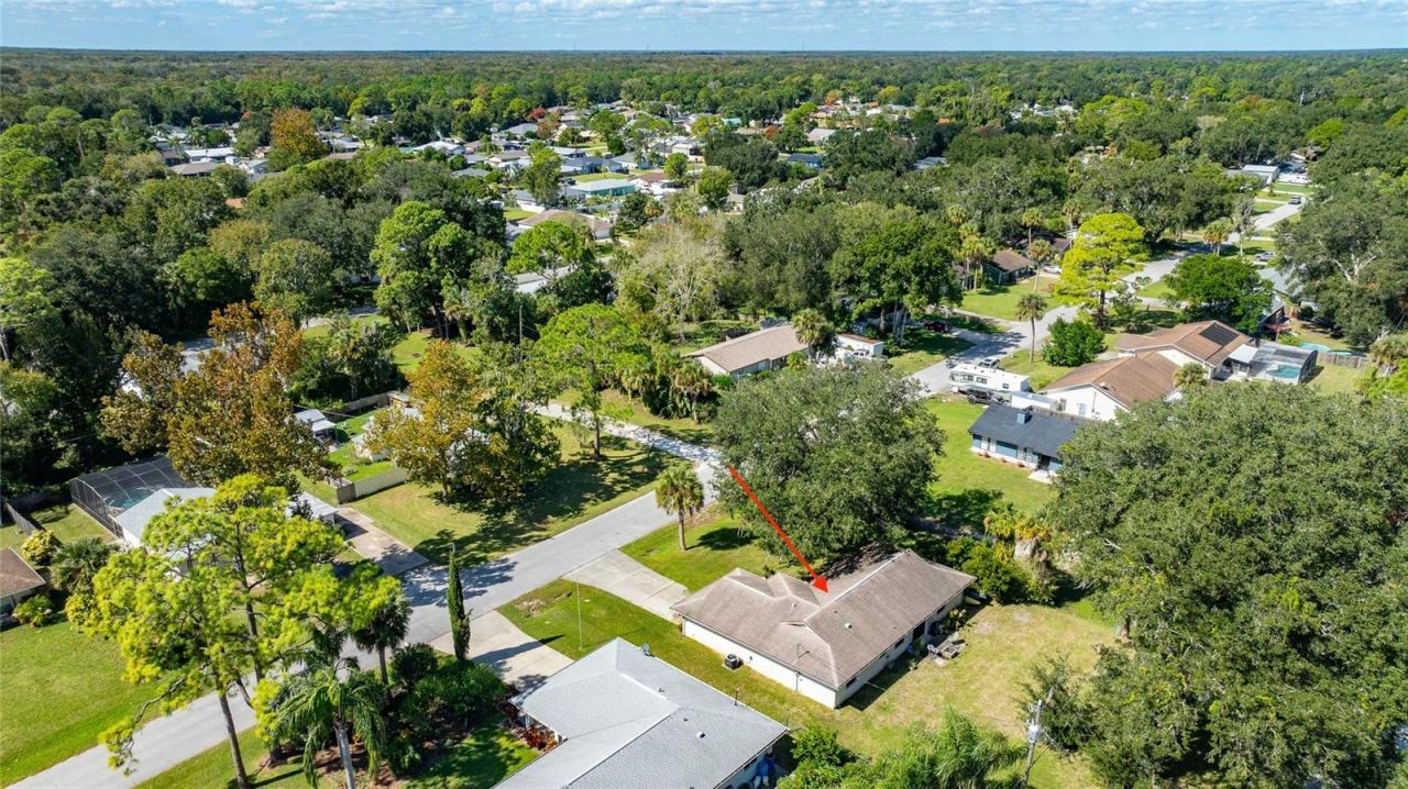 3303 Yule Tree Drive, Edgewater, FL 32141 Photo