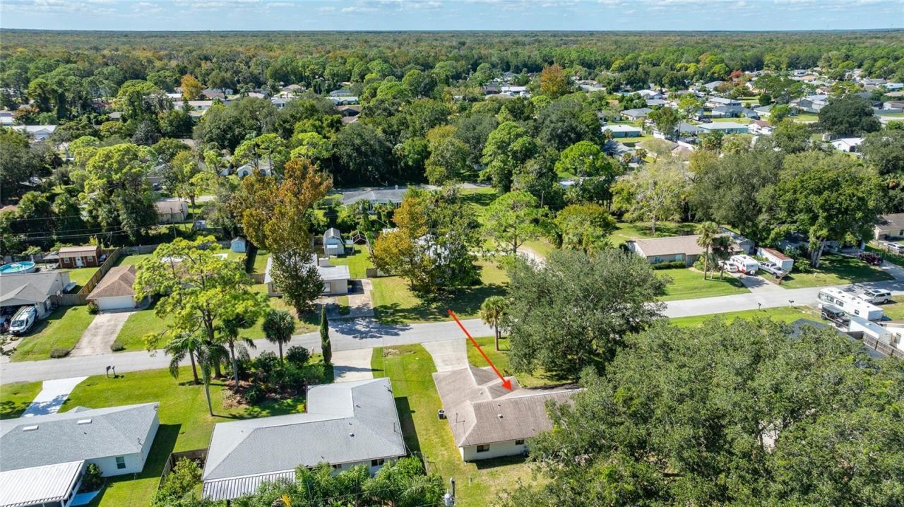 3303 Yule Tree Drive, Edgewater, FL 32141 Photo