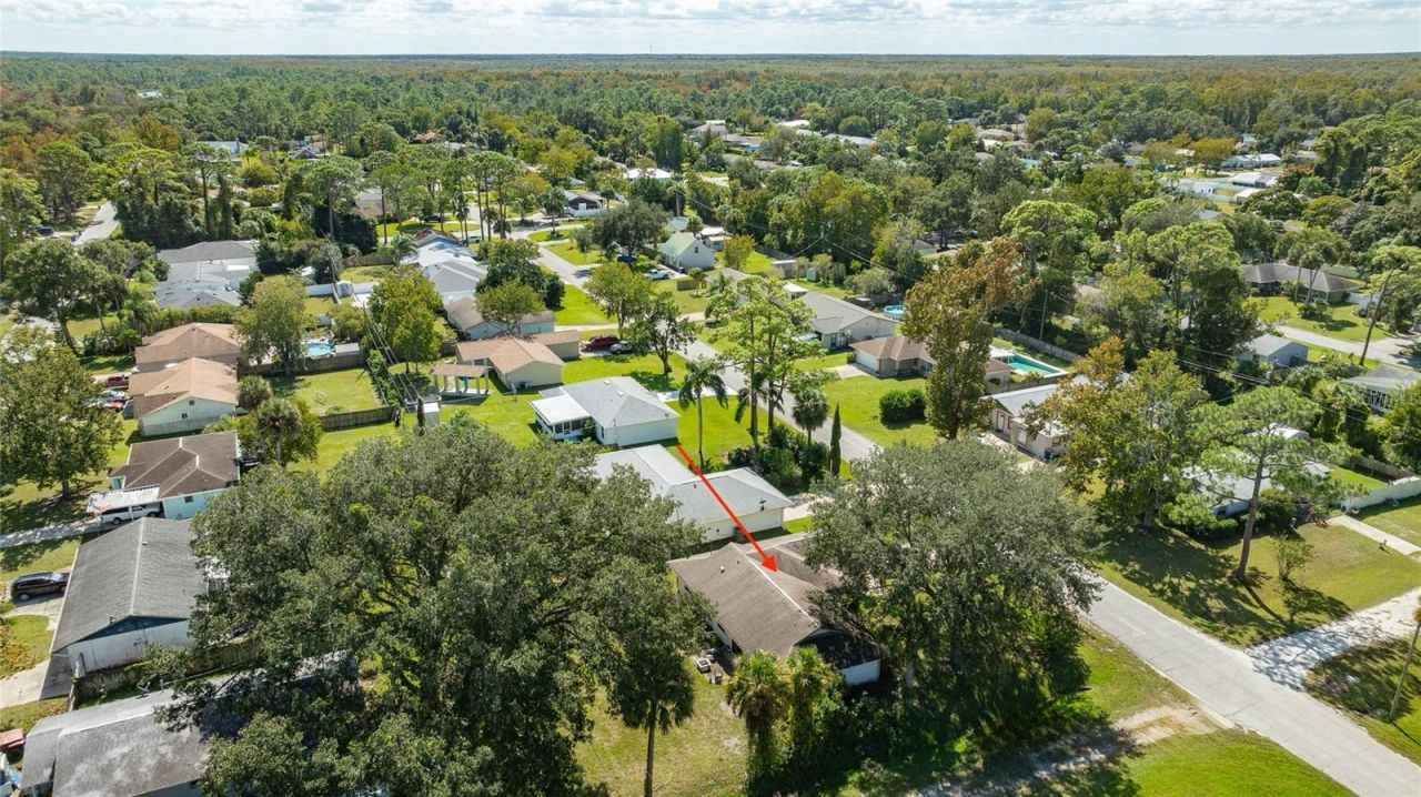 3303 Yule Tree Drive, Edgewater, FL 32141 Photo